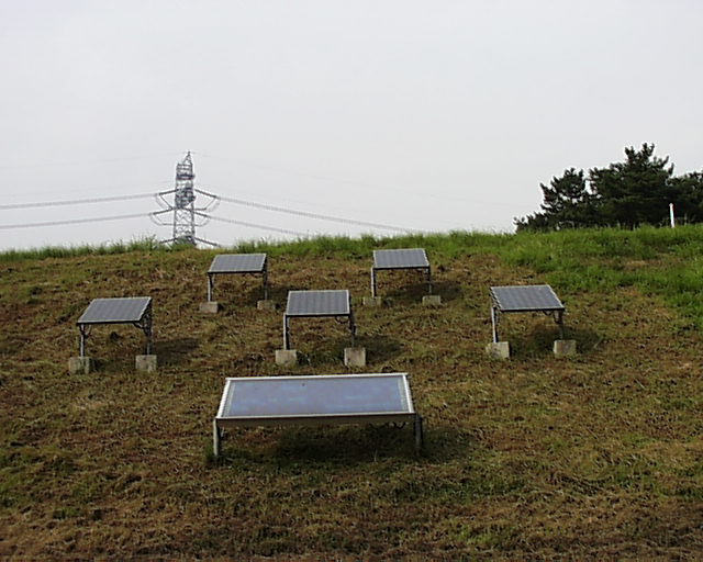 pzdr
